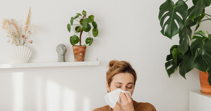 Allergén növények a környezetünkben
