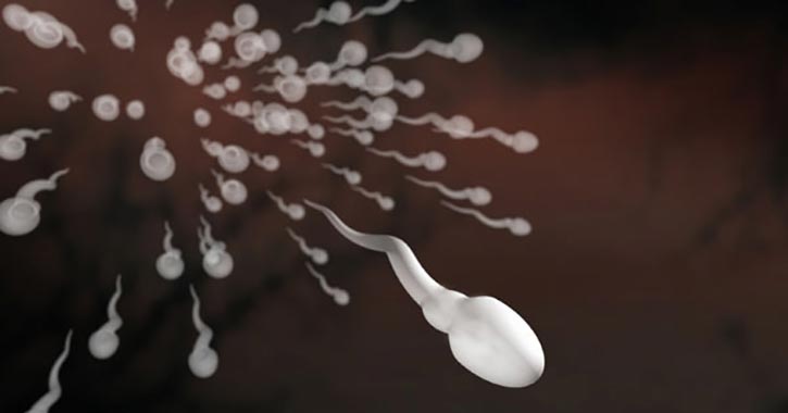 13 meglepő tény a spermáról