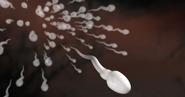 Gyakori kérdések a spermáról