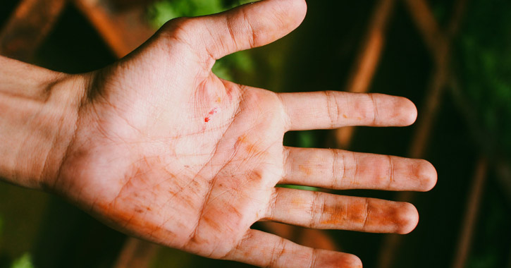 Tényleg lehet hasznos egy kis kosz?