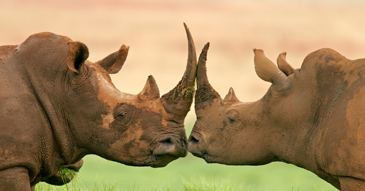 Karácsony a világ körül: Afrika