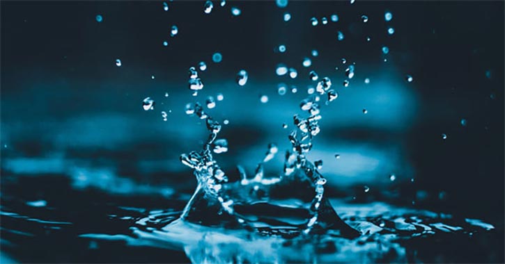Mennyi víz van az emberi testben?