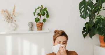 Allergén növények a környezetünkben