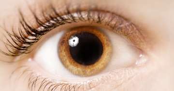 Tág pupillák – mit jelentenek, és miért tartjuk vonzónak?