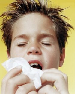 Tévhitek az allergiáról