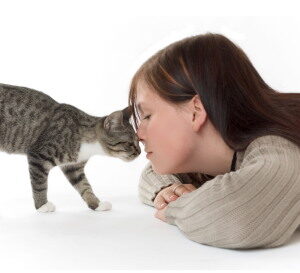 8 tipp a háziállat-allergia leküzdésére
