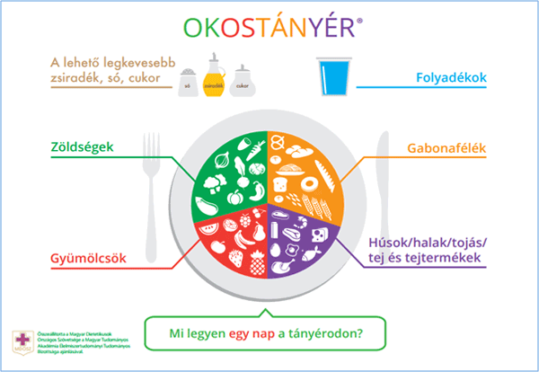 Okostányér táplálkozási ajánlás Forrás: MDOSZ