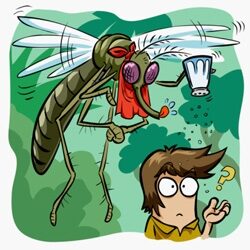 Természetes szúnyogriasztók