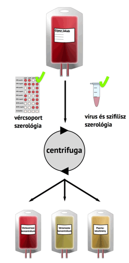 véradás